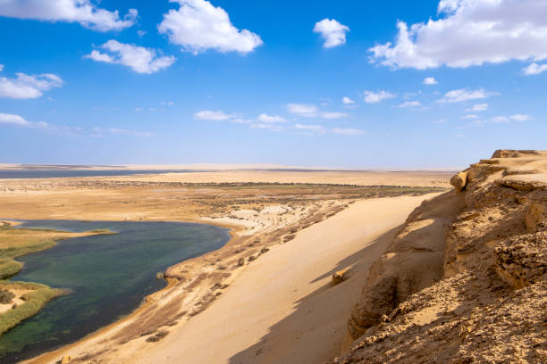 Fayoum desert and oasis  in Egypt